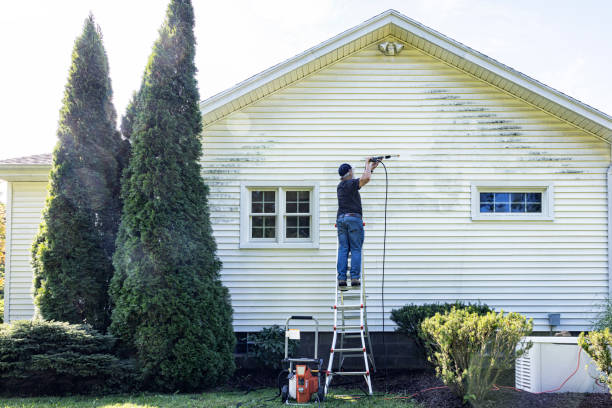 Best Vinyl Siding Pressure Washing in Lake Brownwood, TX